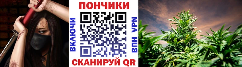 Какие есть наркотики Щёлково Alpha PVP Бутират ГАШ Конопля Меф мяу мяу